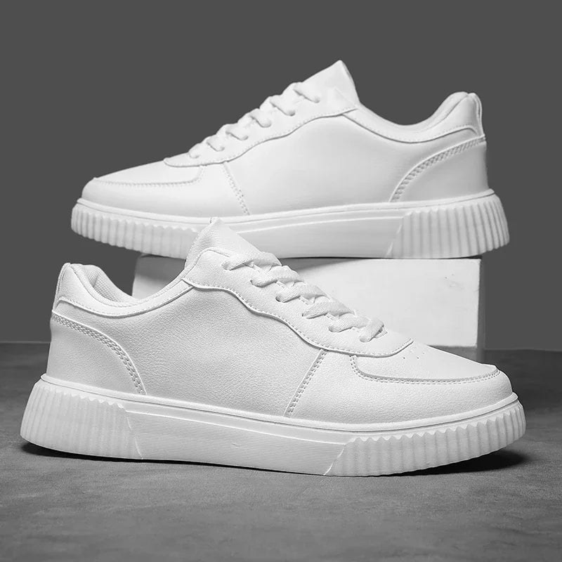 S6b8ba581fd2c4f03b1de62761ef02219i